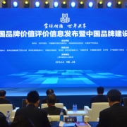 “中国建造”的一张靓丽名片